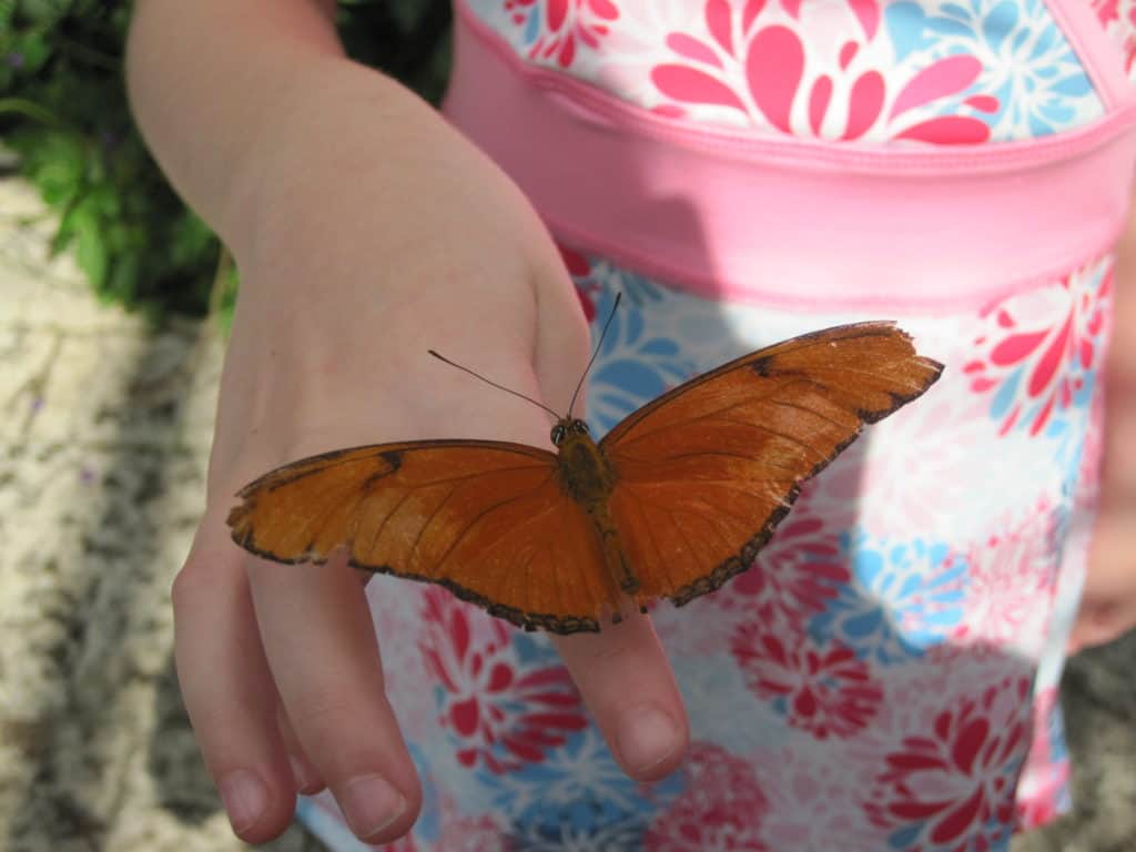 Young girl in flowered dress with butterfly on hand at Niagara Parks Butterfly Conservatory.