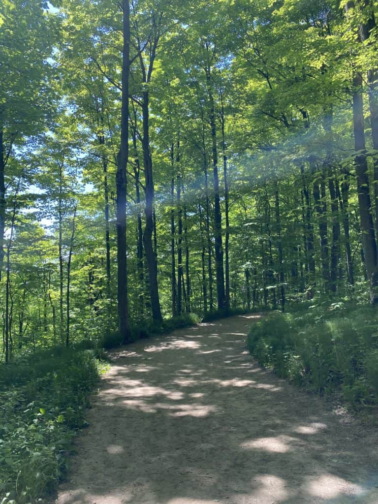 Hiking trail through forest at Rattlesnake Point Conservation Area in Milton, Ontario.