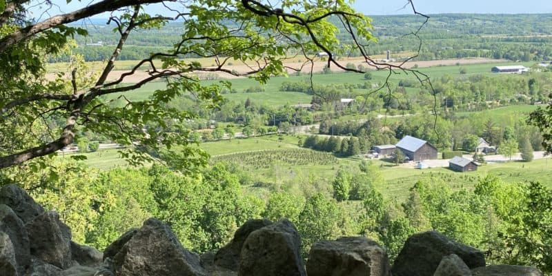 View from trail at Rattlesnake Point Conservation Area.