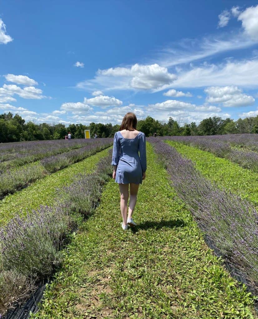 Young woman walking in fields of lavender at Terre Bleu Lavender Farm.