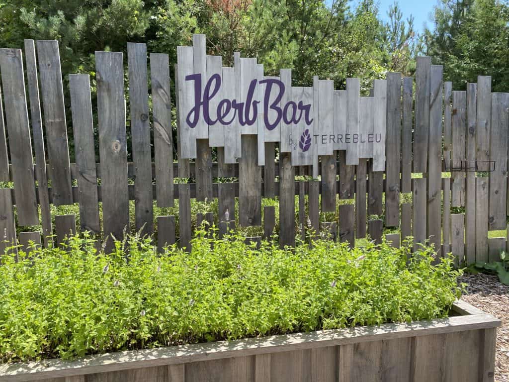 Herb Bar at Terre Bleu Lavender Farm.