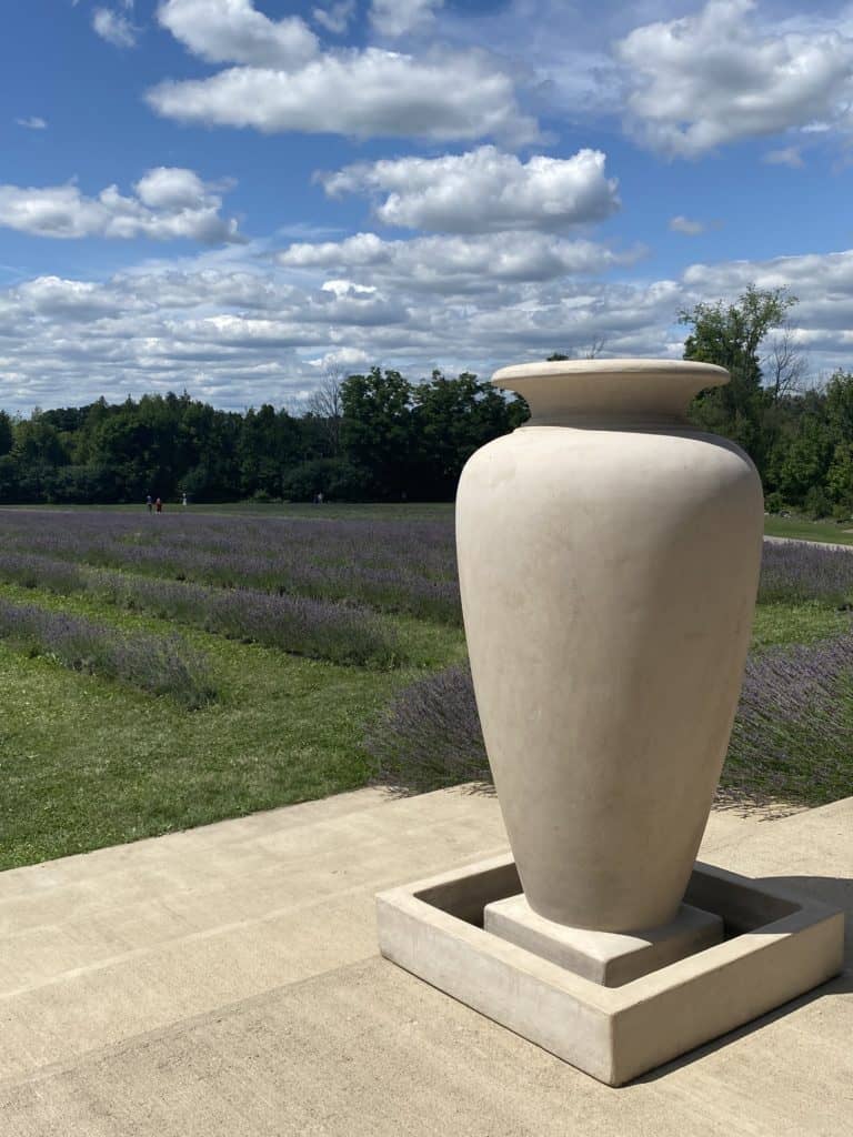 Large urn with lavender fields in background at Terre Bleu Lavender Farm.