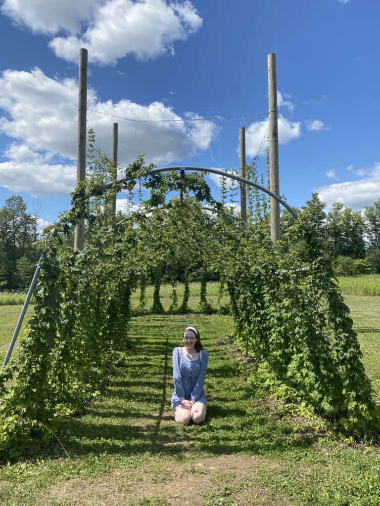 Girl sitting in front of Galena Sky Window at Terre Bleu Lavender Farm.