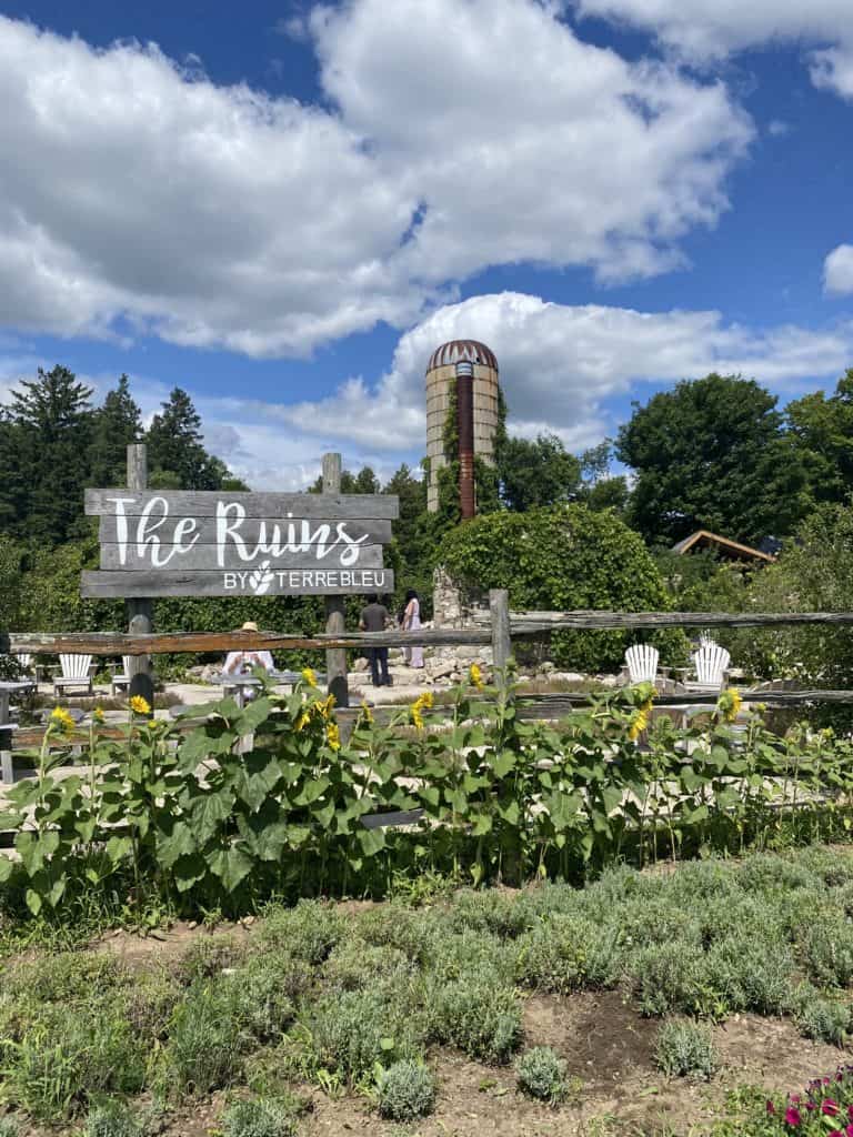 The Ruins at Terre Bleu Lavender Farm.