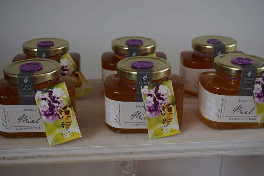 Jars of lavender honey in Terre Bleu Lavender Farm gift shop.