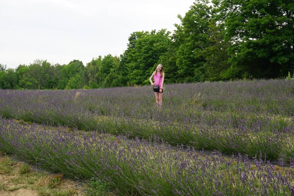 Young girl in lavender fields at Terre Bleu Lavender Farm.