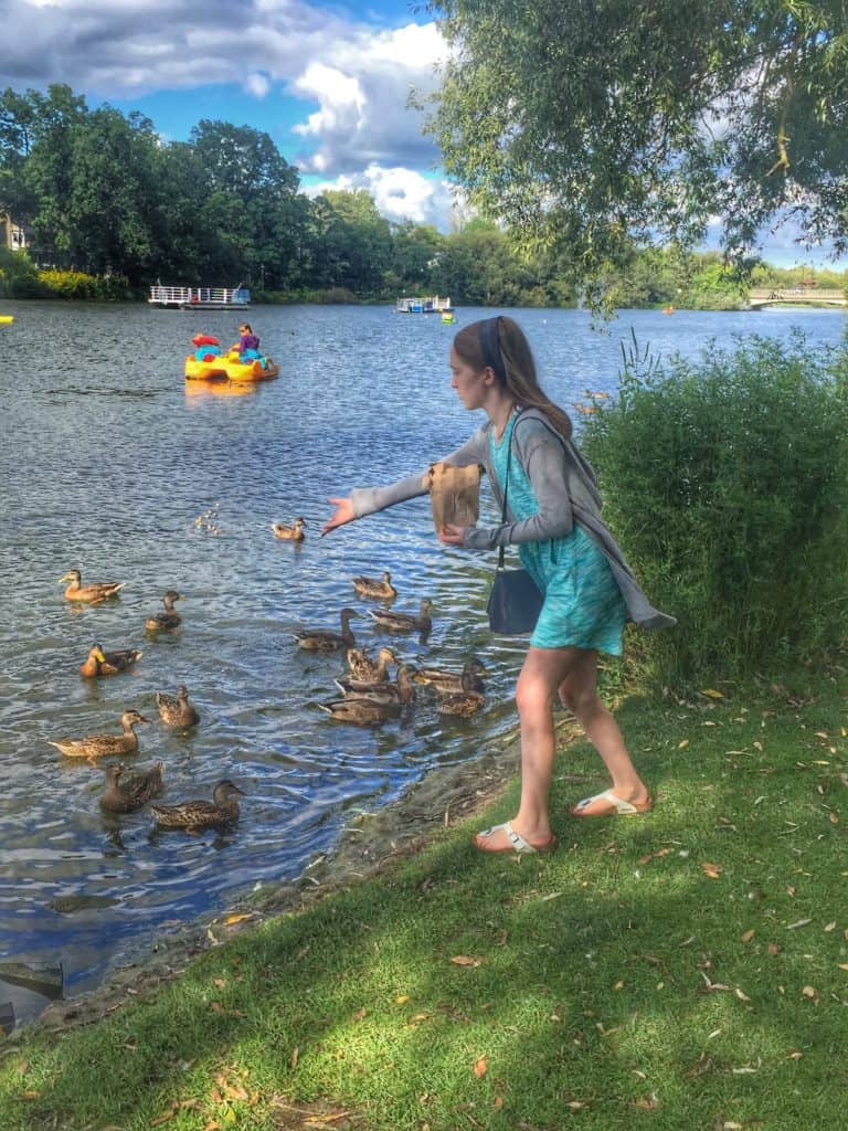 Young girl feeding ducks along the Avon River in Stratford, Ontario.