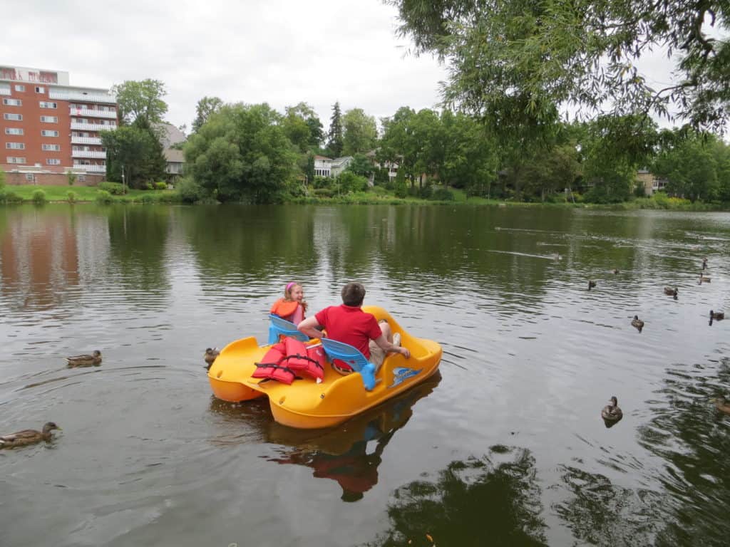 A man and young girl in a yellow pedal boat surrounded by ducks on the Avon River in Stratford, Ontario.