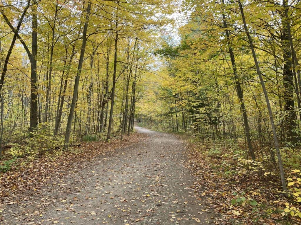 Hilton Falls Conservation Area hiking trail.