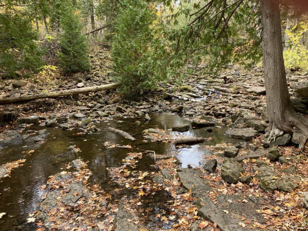 Hilton Falls Conservation Area river.