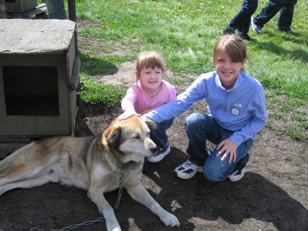 Alaskan sled dog tied beside doghouse being pet by two young girls.