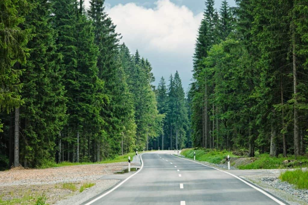 Road through forest in Bavaria, Germany.