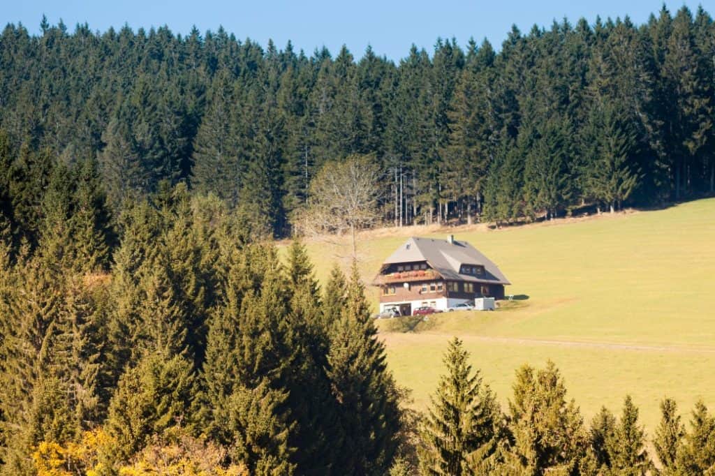 Black Forest farmland.