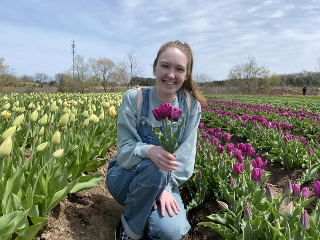 Young woman sitting among rows of purple and yellow yellow tulips holding three purple tulips at Tasc Tulip Farm.