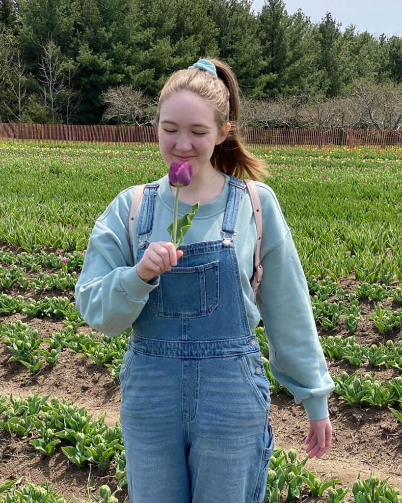 Young woman smelling purple tulip in fields at Tasc Tulip Farm.