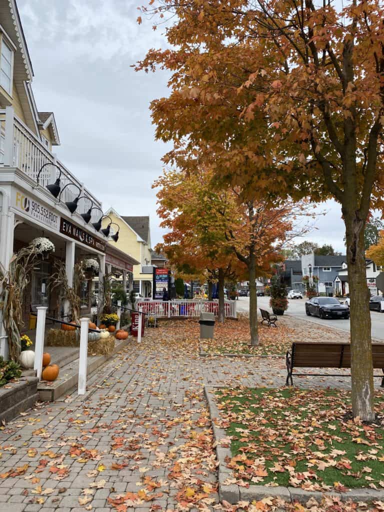 Shops along Main Street in Kleinburg in fall with pumpkins on display and orange and yellow leaves on ground.