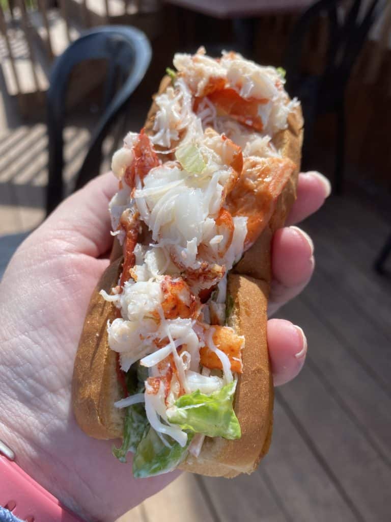 hand holding a lobster roll