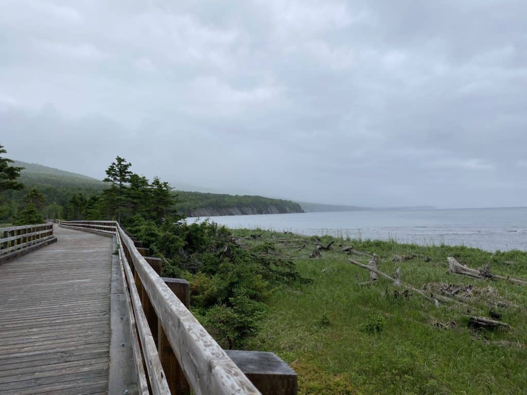wooden boardwalk through wooded area with water on one side on overcast day in Forillon National Park, Quebec.