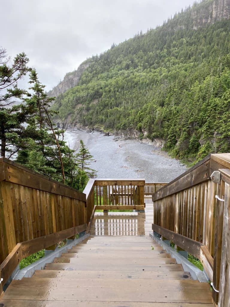 Wet wooden stairs to beach at Cap Bon Ami in Forillon National Park.