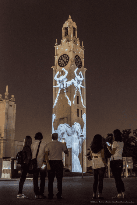 Group of people looking at Cite Memoire night time projections in Montreal.