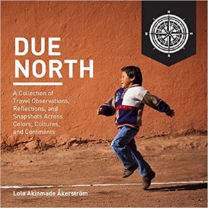 Due North by Lola Akinmade Akerstrom cover image.