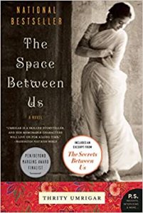 The Space Between Us by Thrity Umrigar cover image.