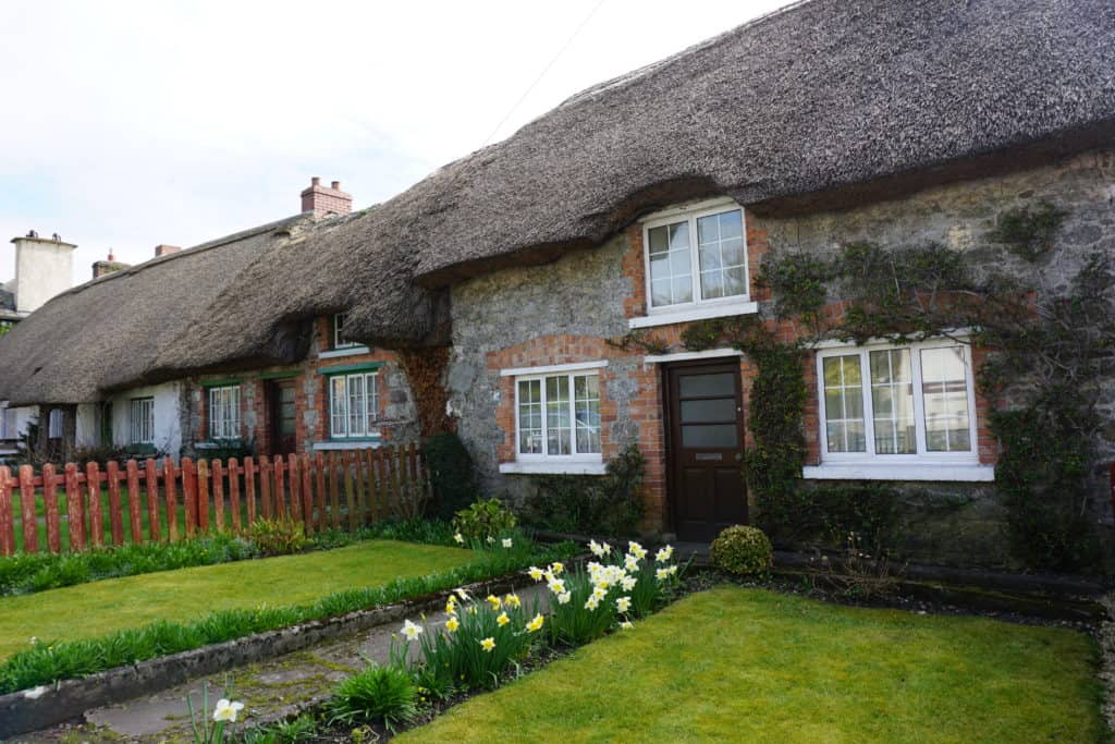 Thatched cottage in Adare, Ireland with daffodils growing in front garden.