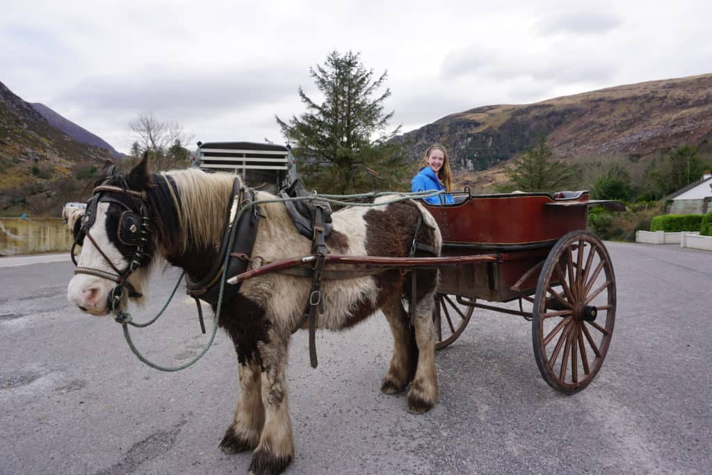 Young girl in blue coat sitting in jaunting cart pulled by horse in Killarney National Park, Ireland.