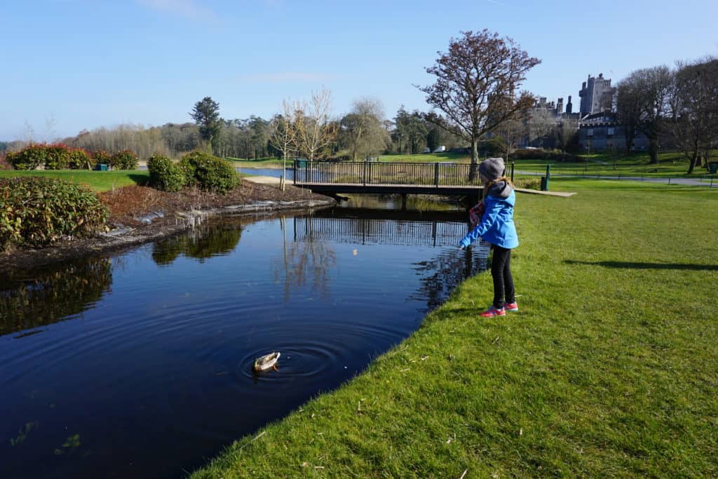 Young girl in blue coat and grey hat throwing food to a duck in water with Dromoland Castle in background.