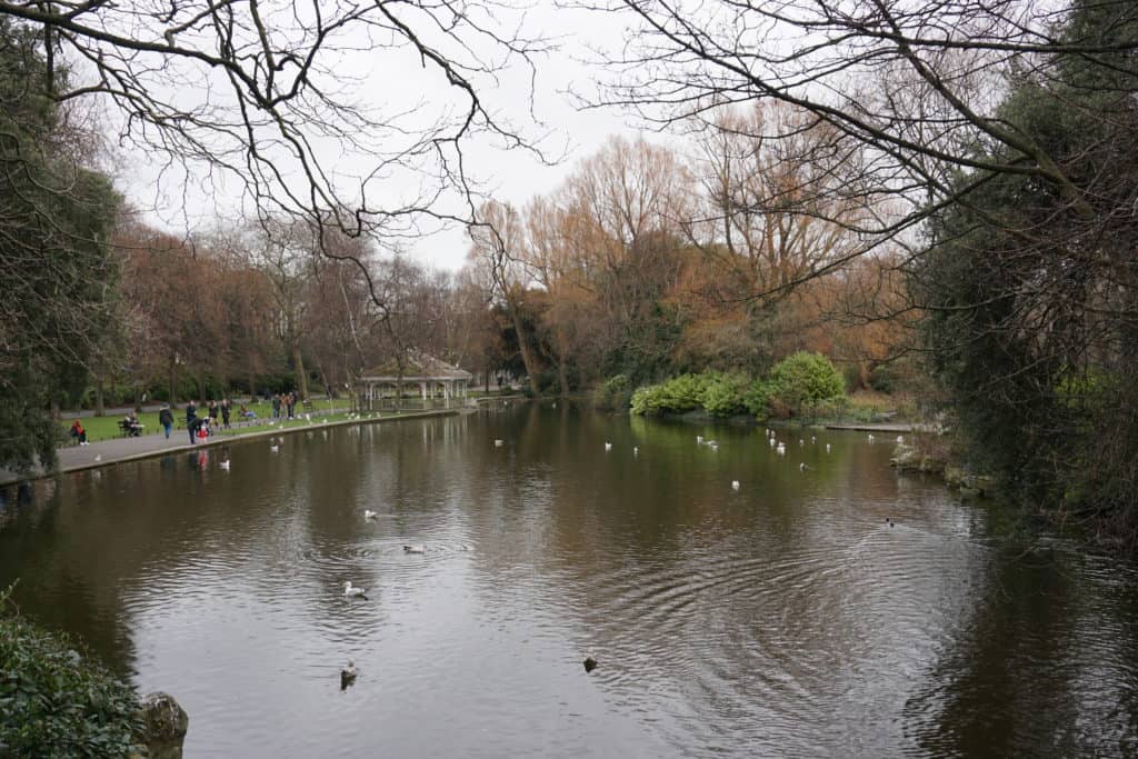 Pond with birds in St. Stephen's Green, Dublin.