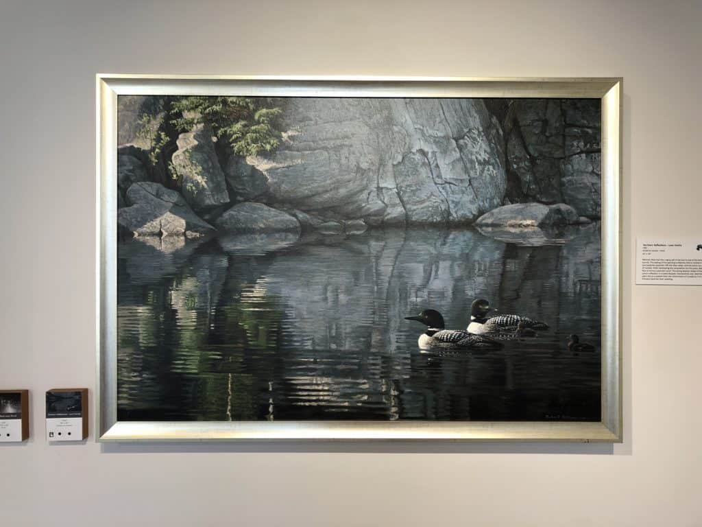 Painting of two loons in water - Northern Reflection - Loon Family by Robert Bateman hanging on wall at Robert Bateman Centre in Victoria.