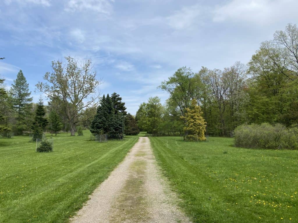 Dirt trail through green field with trees at RBG Arboretum in Hamilton, Ontario.