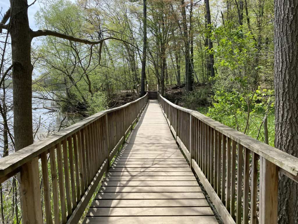 Wooden boardwalk through wooded area alongside water  at RBG Arboretum.