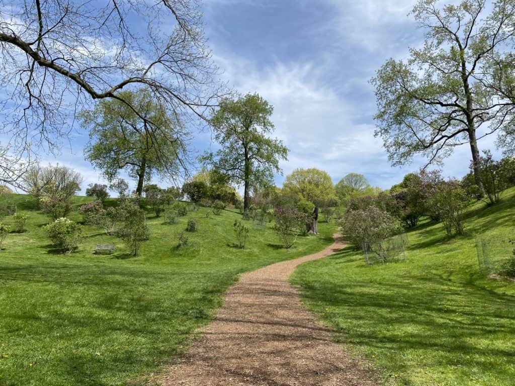 Winding dirt path through grassy area with some trees and shrubs at RBG Arboretum in Hamilton, Ontario.