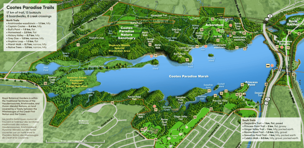 Map of Cootes Paradise trails.