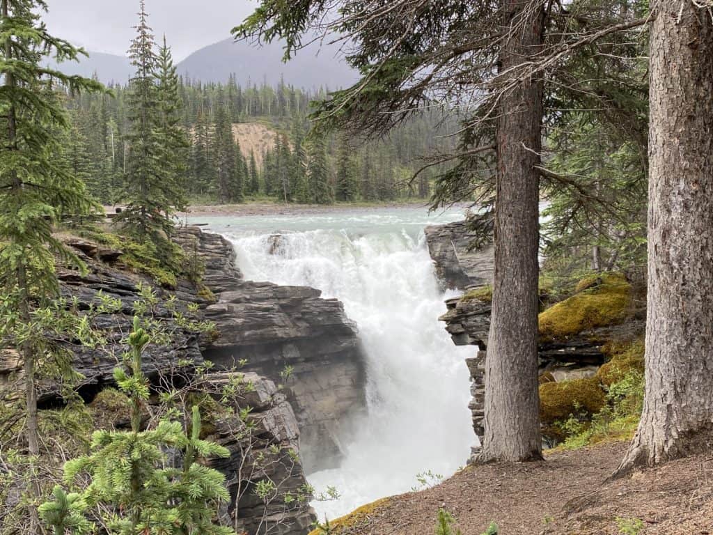 Powerful falls over rocky terrain surrounded by evergreen trees.