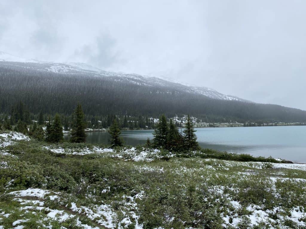 Snow on ground alongside Bow Lake with mountain in background.