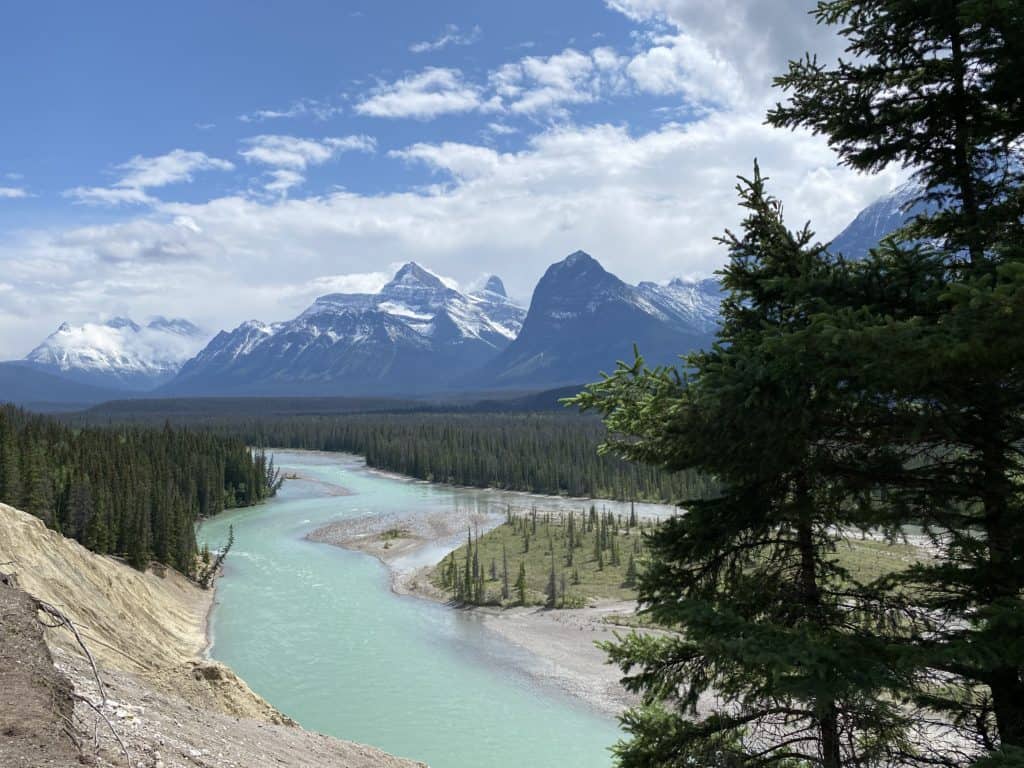 Pale green coloured river surrounded by trees with snow-topped mountains in background.