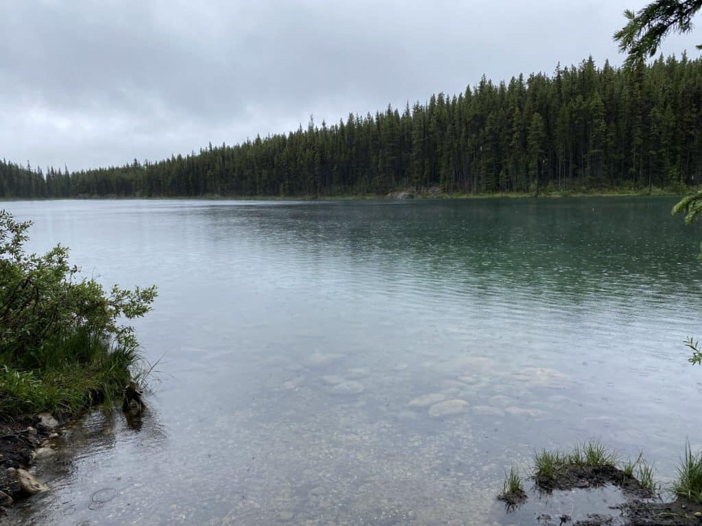 Herbert Lake - glacial lake with some reflection of trees in water on a cloudy overcast day.