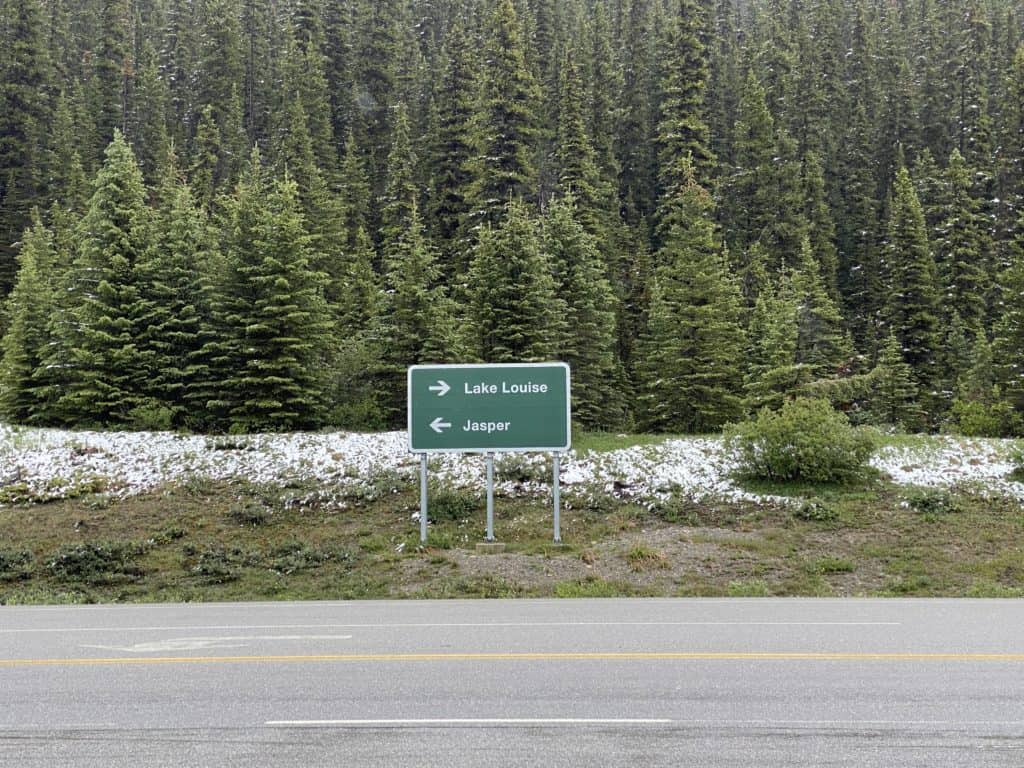 Green road sign on Icefields Parkway with arrows indicating direction to Lake Louise and to Jasper.