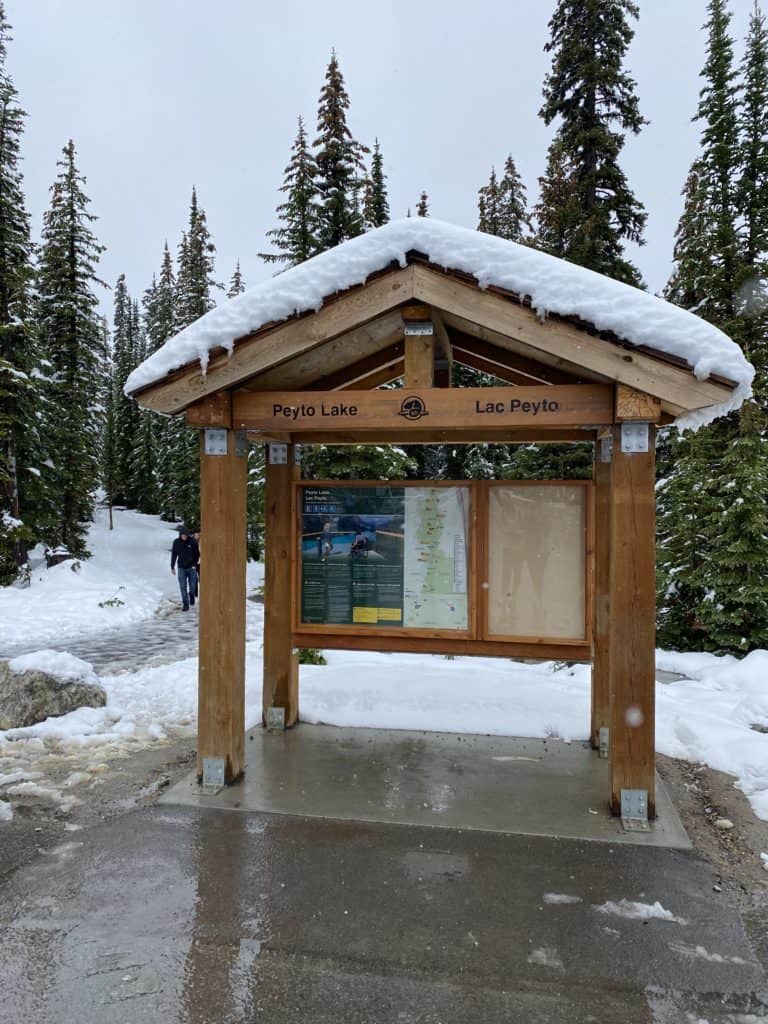 Wooden information board at entrance to Peyto Lake trail covered in snow.