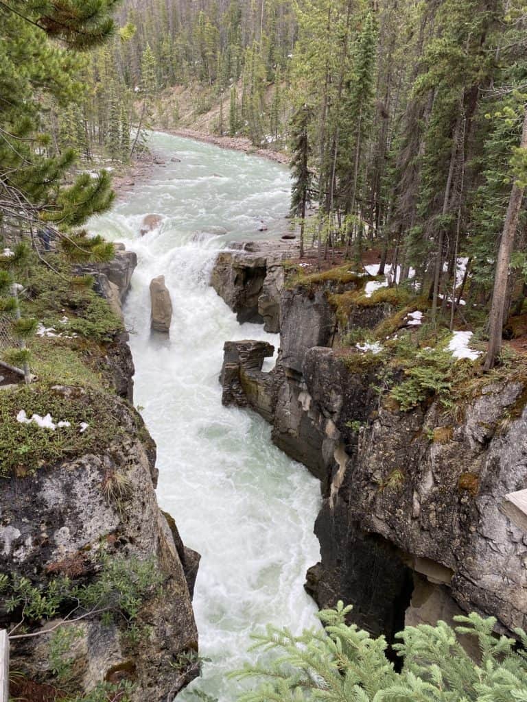 Sunwapta waterfall - large waterfall through rock surrounded by trees.