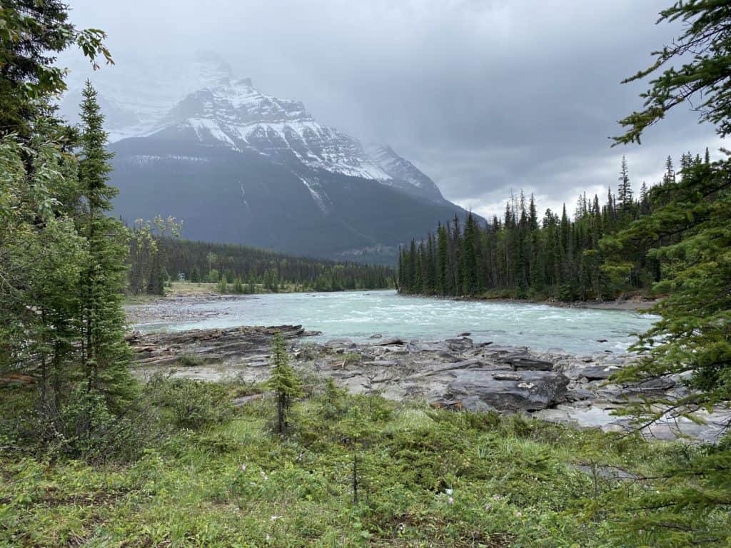 Rocky shoreline of river surrounded by trees with snow-topped mountains in background on an overcast day.