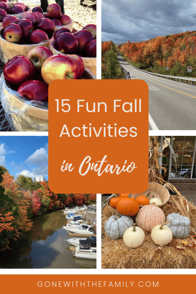 Pinterest image for 15 Fun Fall Activities in Ontario.