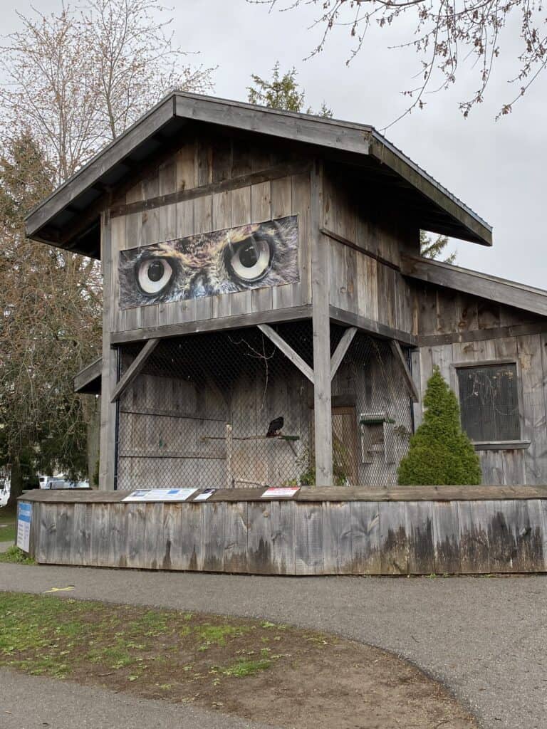 Wooden building with birds of prey eyes painted on it at Mountsberg Conservation Park.