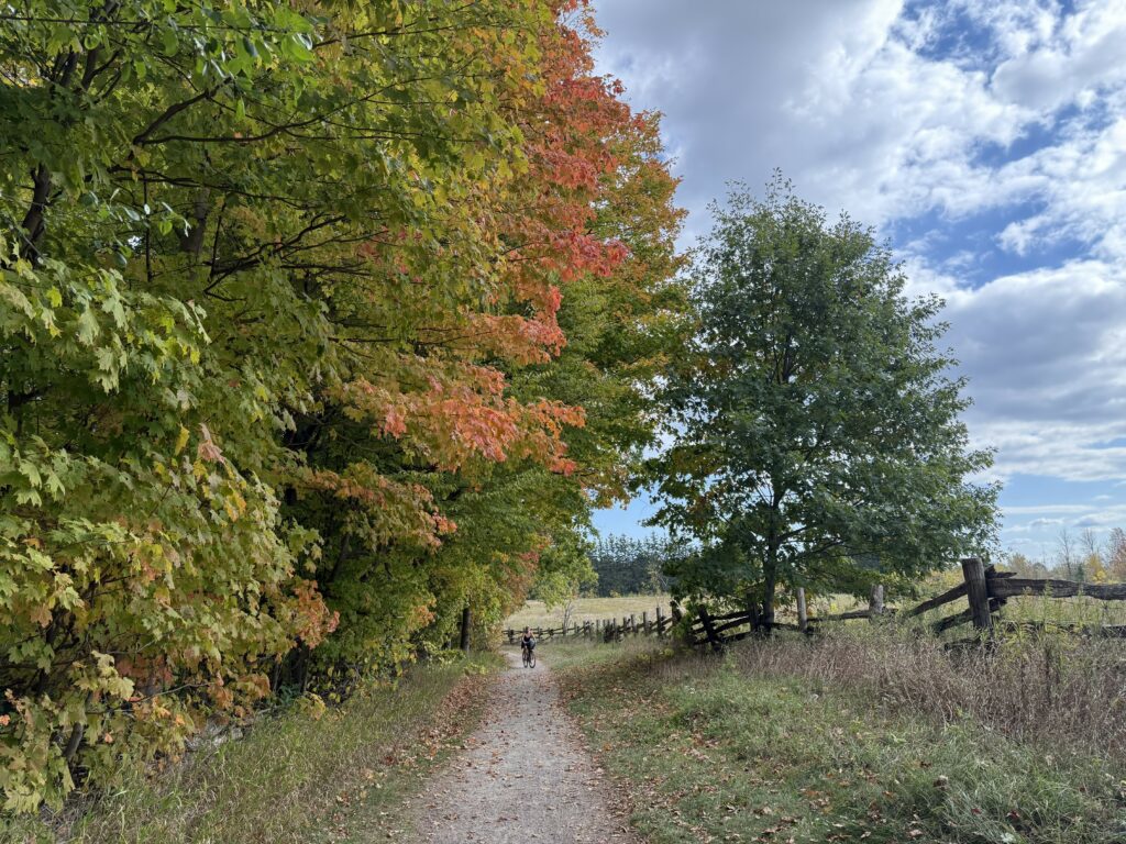 gravel trail with wood fence on one side and trees starting to turn colour with a bit of orange - Bronte Creek Provincial Park.