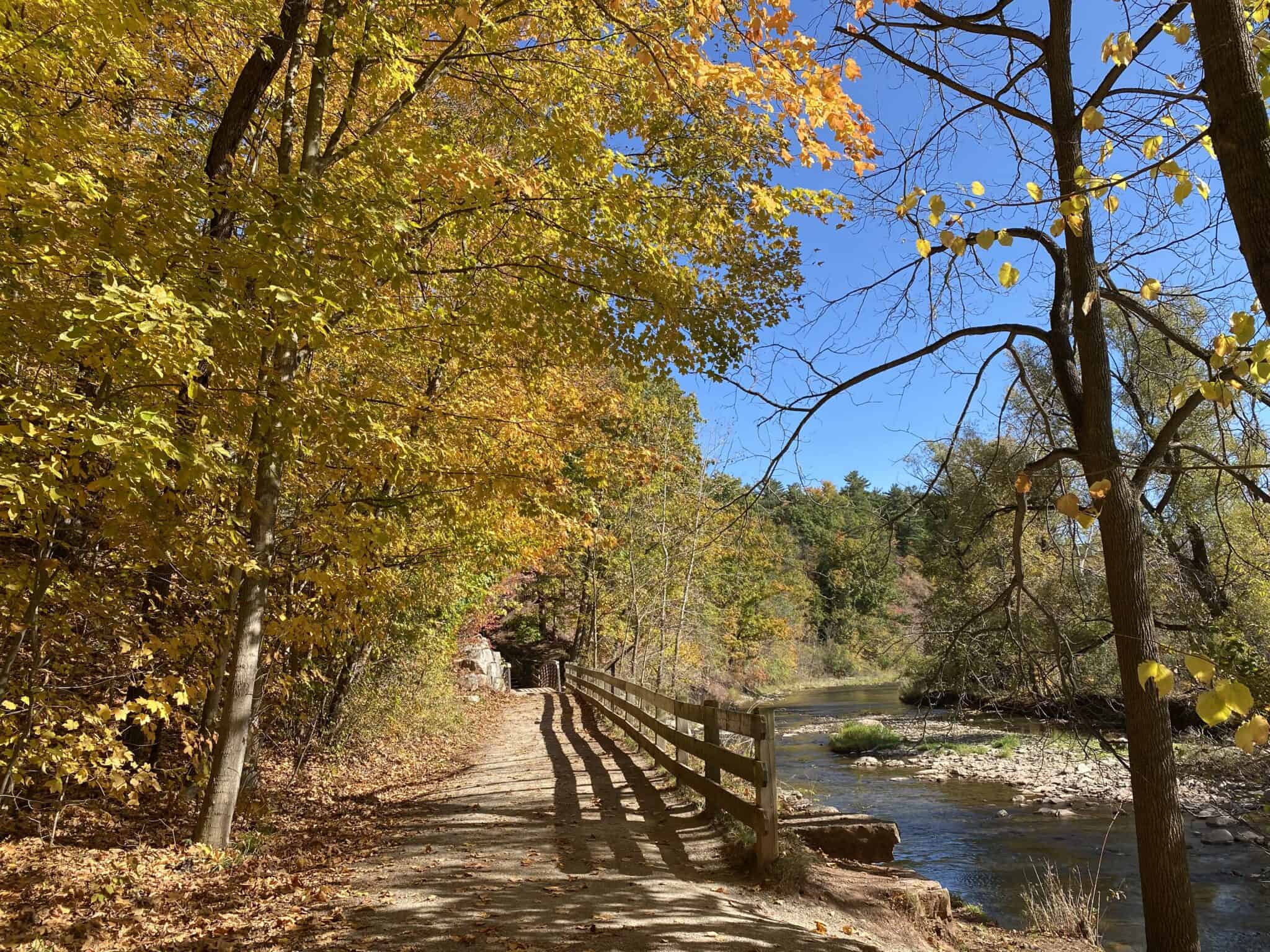 12 of the Best Fall Hikes in Halton and Peel - Gone With The Family