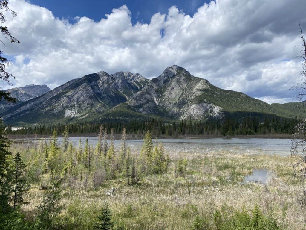 Clouds and patches of blue sky above mountain range with body of water and plant growth in foreground.