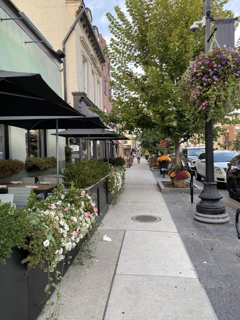 Shops on downtown Oakville street with flowers.