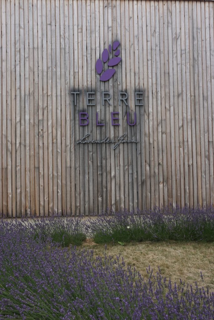 Entrance to Terre Bleu Lavender Farm.